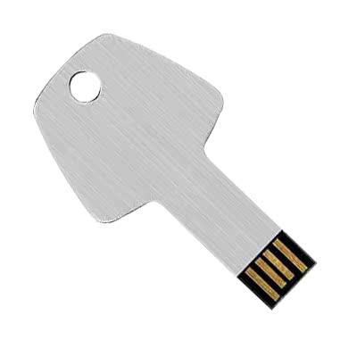 100 1 Go Logo Personnalisé Clé USB Clé En Métal Forme